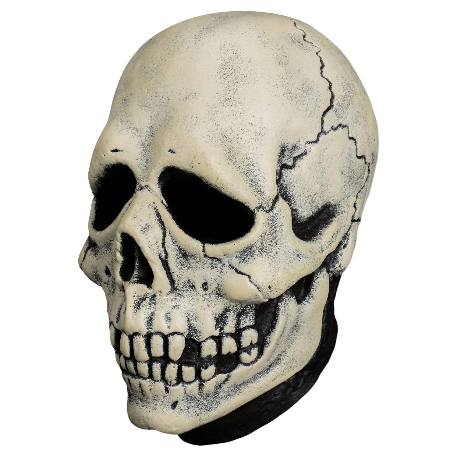 Don Post - Antique Skull Mask (Vinyl) - Image 2