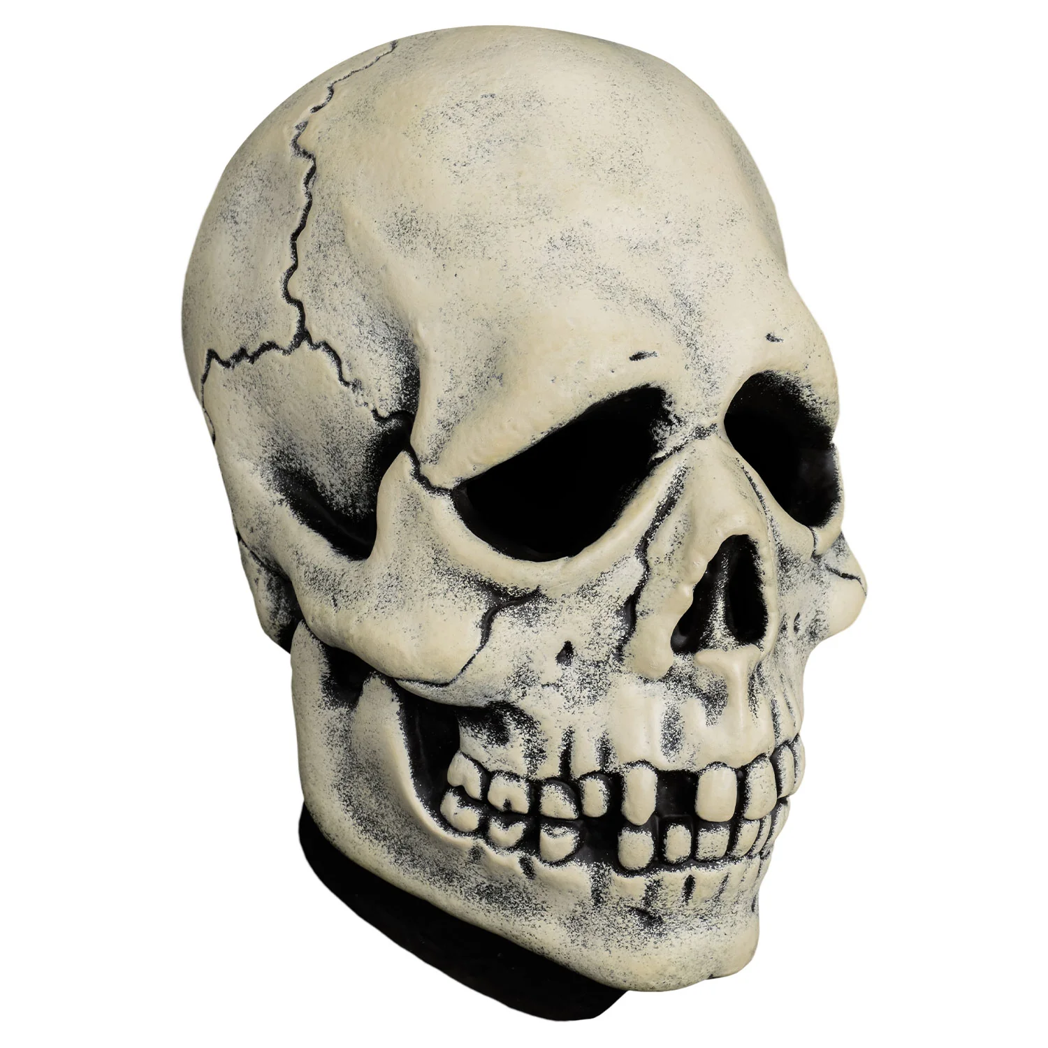 Don Post - Antique Skull Mask (Vinyl) - Image 3