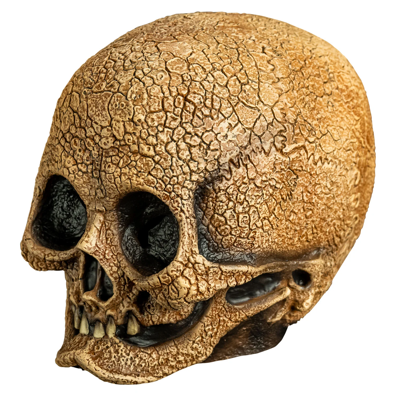 Illusive Concepts - Cranial Skull Mask - Image 2