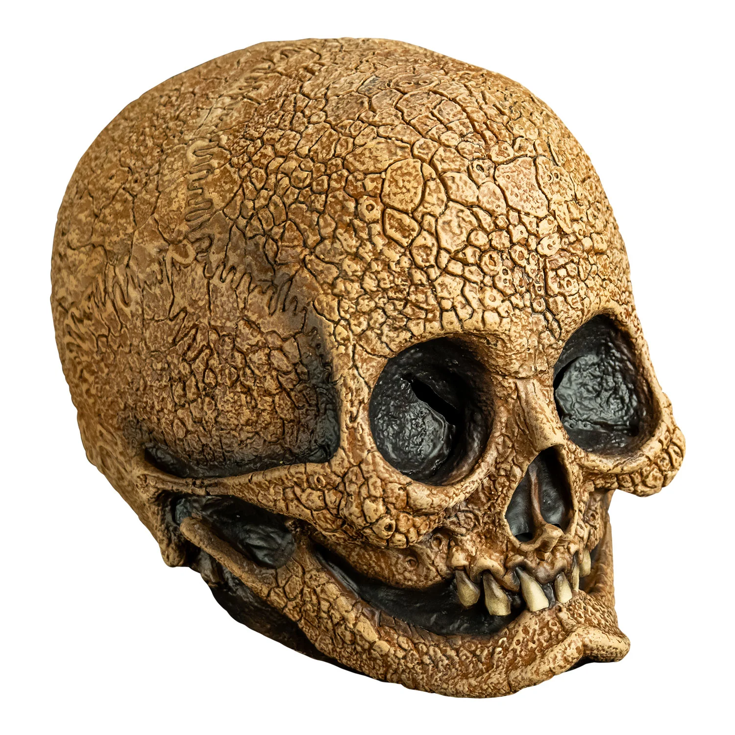 Illusive Concepts - Cranial Skull Mask - Image 3