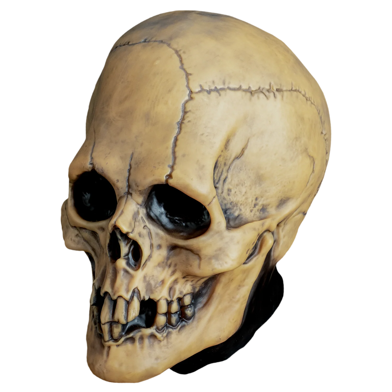 Mabry Monsters - Aged Voodoo Skull Mask (Vinyl) - Image 2